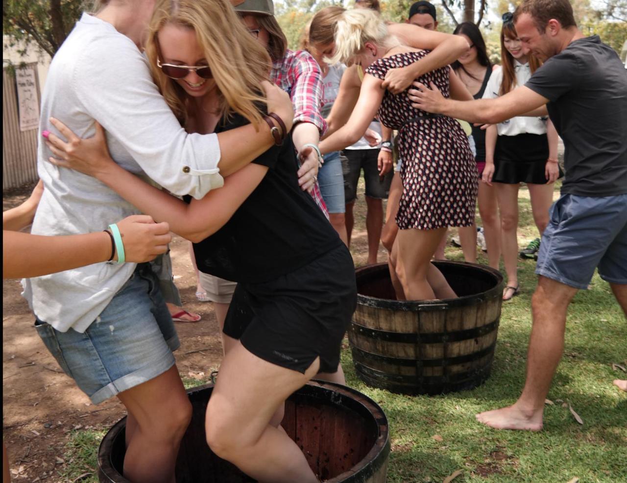 Hunter Valley Resort, Hunter Farm Adventure Centre & 4 Pines At The Farm Pokolbin Exterior foto
